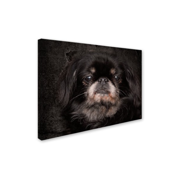 Jai Johnson 'Black Pekingese Portrait' Canvas Art,14x19